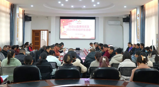 紅臉出汗強黨性，凝心聚力促發展 | 白云山盈康黨總支召開2024年度組織生活會