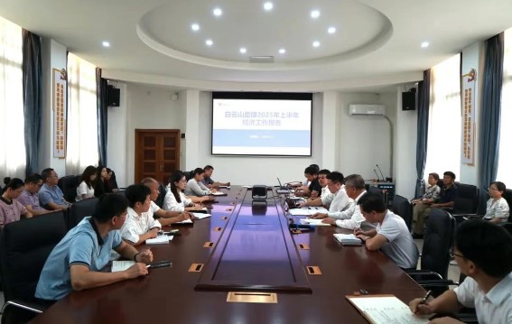 白云山盈康2025上半年經濟工作會議，為全年發展蓄力?
